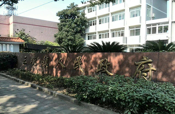 三墩鎮(zhèn)人民政府物品搬運